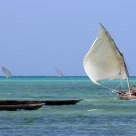 DHOWS MATCHRACE